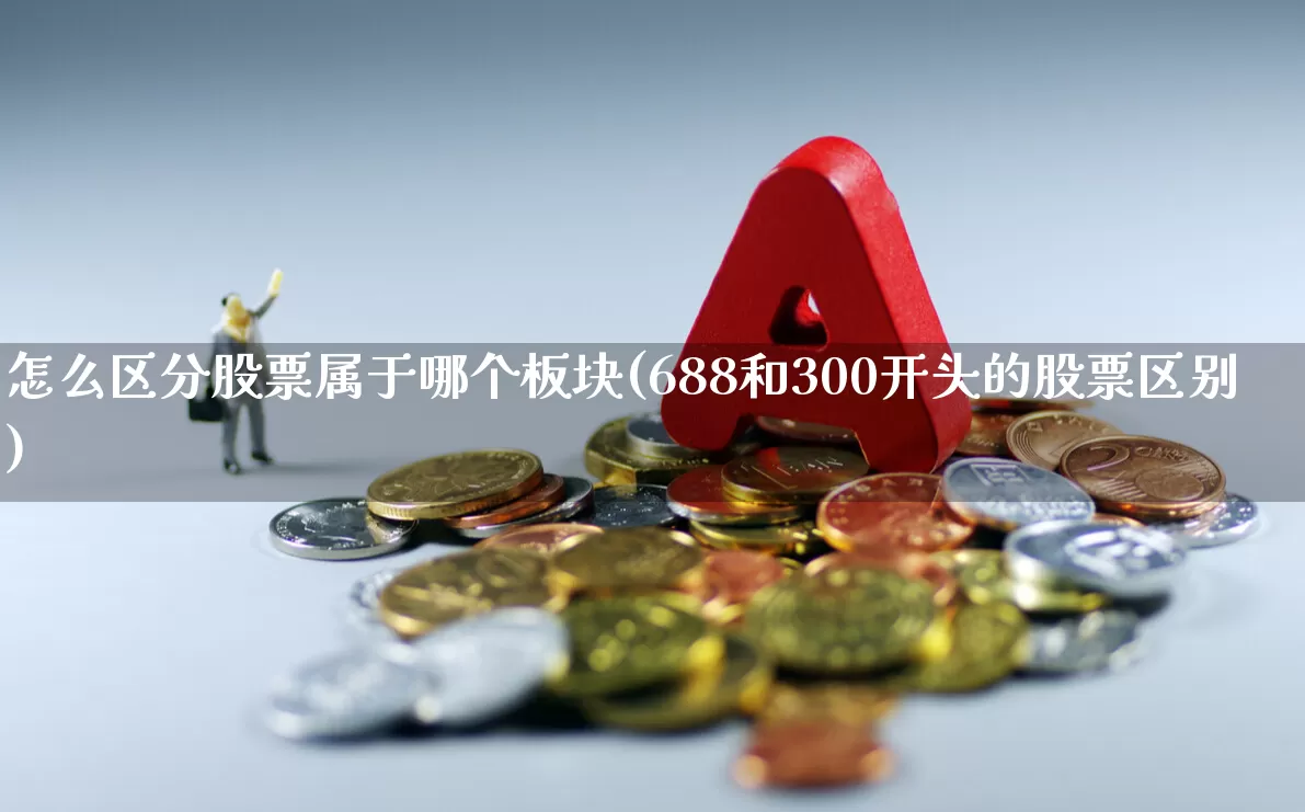 怎么区分股票属于哪个板块(688和300开头的股票区别)_https://www.ccit-cctv.com_科创板_第1张