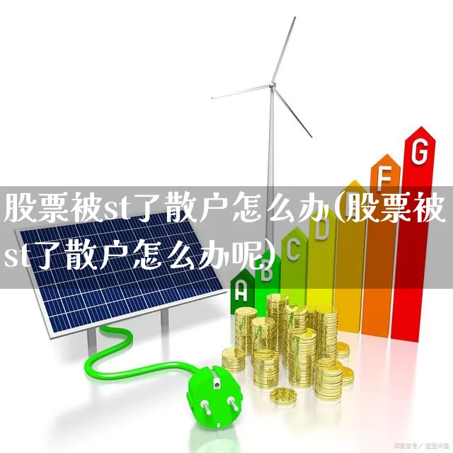 股票被st了散户怎么办(股票被st了散户怎么办呢)_https://www.ccit-cctv.com_北交所_第1张