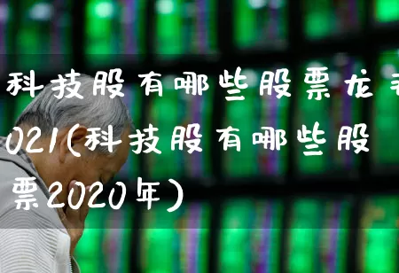 科技股有哪些股票龙头2021(科技股有哪些股票2020年)_https://www.ccit-cctv.com_深交所_第1张