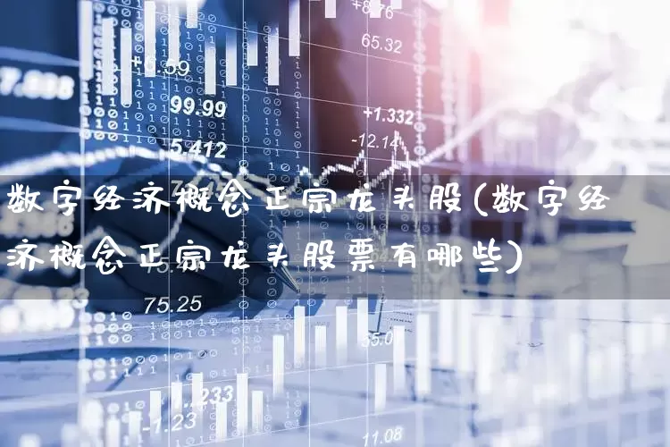 数字经济概念正宗龙头股(数字经济概念正宗龙头股票有哪些)_https://www.ccit-cctv.com_科创板_第1张