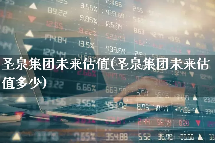 圣泉集团未来估值(圣泉集团未来估值多少)_https://www.ccit-cctv.com_北交所_第1张