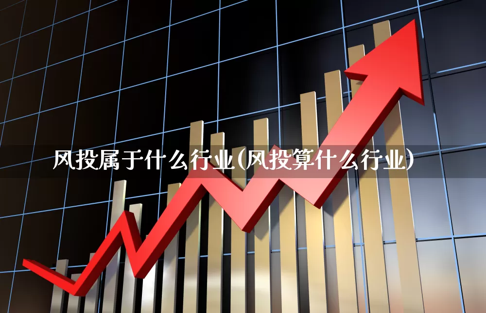 风投属于什么行业(风投算什么行业)_https://www.ccit-cctv.com_深交所_第1张