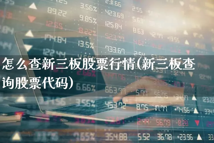 怎么查新三板股票行情(新三板查询股票代码)_https://www.ccit-cctv.com_上交所_第1张