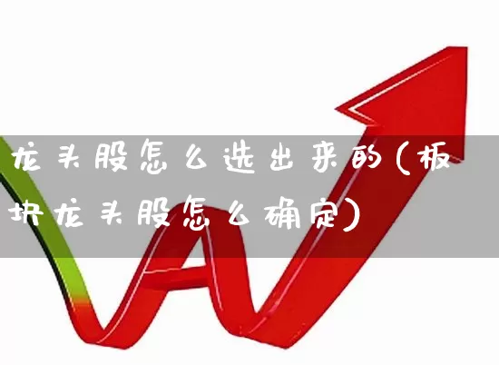 龙头股怎么选出来的(板块龙头股怎么确定)_https://www.ccit-cctv.com_创业板_第1张