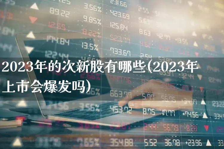 2023年的次新股有哪些(2023年上市会爆发吗)_https://www.ccit-cctv.com_北交所_第1张