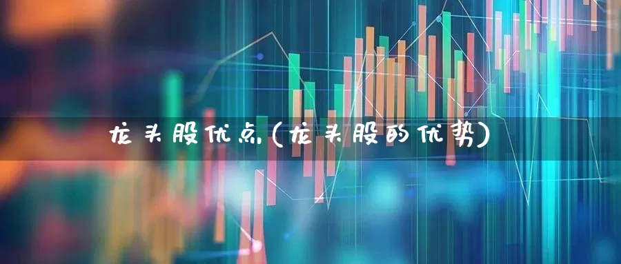 龙头股优点(龙头股的优势)_https://www.ccit-cctv.com_深交所_第1张