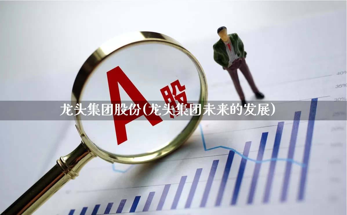 龙头集团股份(龙头集团未来的发展)_https://www.ccit-cctv.com_创业板_第1张