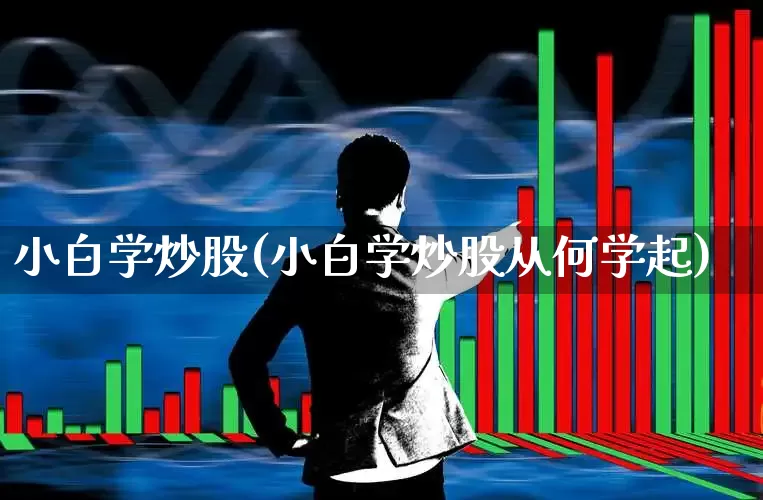 小白学炒股(小白学炒股从何学起)_https://www.ccit-cctv.com_深交所_第1张