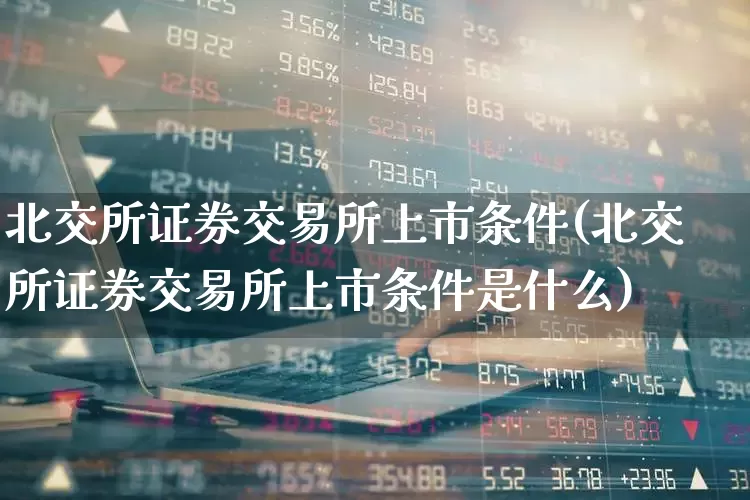 北交所证券交易所上市条件(北交所证券交易所上市条件是什么)_https://www.ccit-cctv.com_科创板_第1张