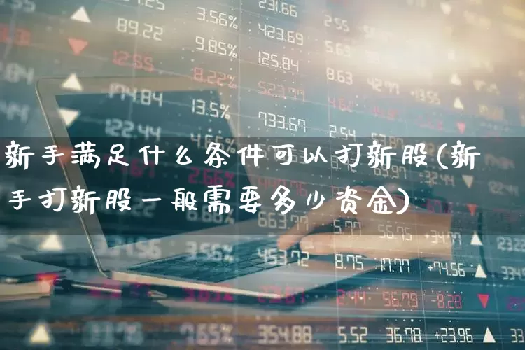 新手满足什么条件可以打新股(新手打新股一般需要多少资金)_https://www.ccit-cctv.com_创业板_第1张