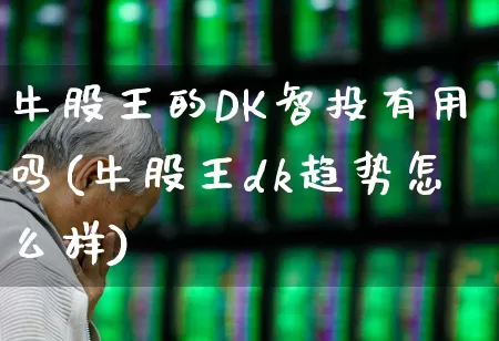 牛股王的DK智投有用吗(牛股王dk趋势怎么样)_https://www.ccit-cctv.com_深交所_第1张