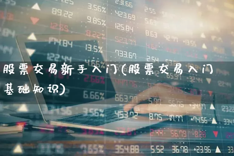 股票交易新手入门(股票交易入门基础知识)_https://www.ccit-cctv.com_创业板_第1张