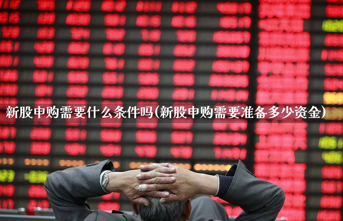 新股申购需要什么条件吗(新股申购需要准备多少资金)_https://www.ccit-cctv.com_深交所_第1张