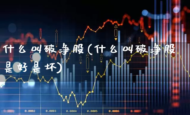 什么叫破净股(什么叫破净股是好是坏)_https://www.ccit-cctv.com_上交所_第1张