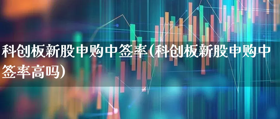 科创板新股申购中签率(科创板新股申购中签率高吗)_https://www.ccit-cctv.com_深交所_第1张