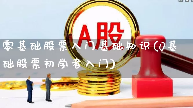 零基础股票入门基础知识(0基础股票初学者入门)_https://www.ccit-cctv.com_科创板_第1张
