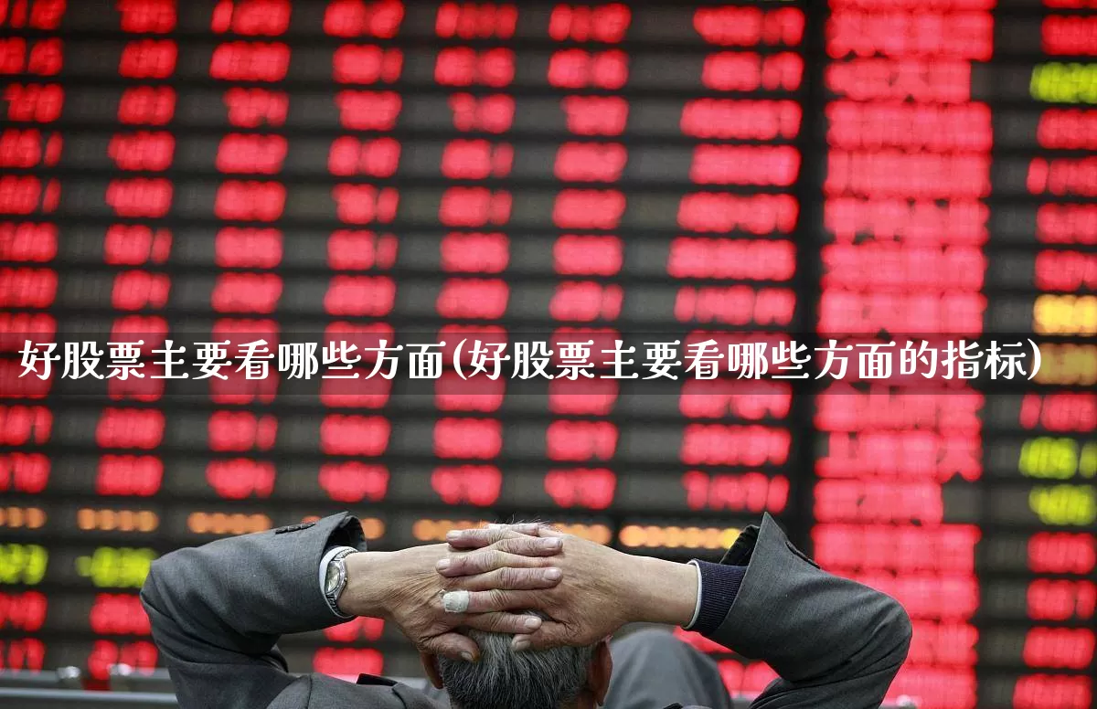 好股票主要看哪些方面(好股票主要看哪些方面的指标)_https://www.ccit-cctv.com_创业板_第1张