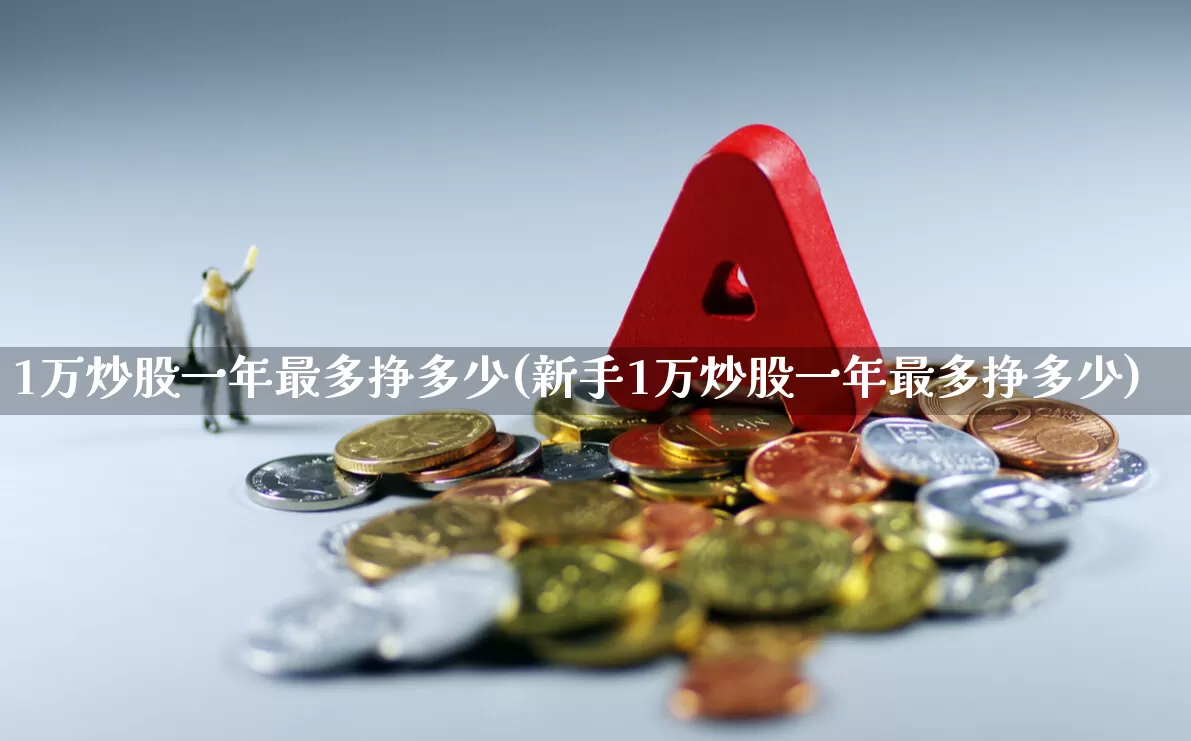 1万炒股一年最多挣多少(新手1万炒股一年最多挣多少)_https://www.ccit-cctv.com_创业板_第1张
