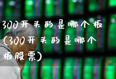 300开头的是哪个板(300开头的是哪个板股票)_https://www.ccit-cctv.com_深交所_第1张
