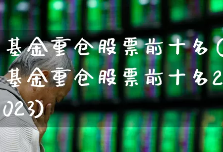 基金重仓股票前十名(基金重仓股票前十名2023)_https://www.ccit-cctv.com_创业板_第1张