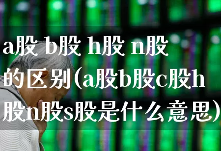 a股 b股 h股 n股的区别(a股b股c股h股n股s股是什么意思)_https://www.ccit-cctv.com_创业板_第1张