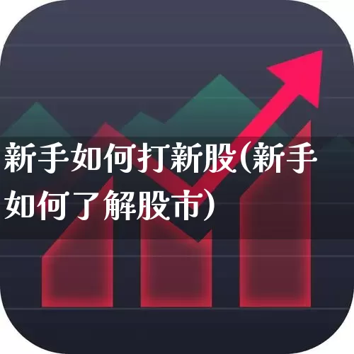 新手如何打新股(新手如何了解股市)_https://www.ccit-cctv.com_北交所_第1张