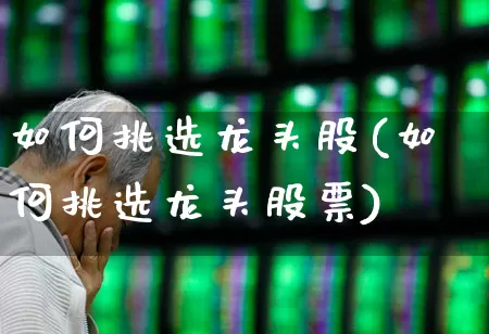 如何挑选龙头股(如何挑选龙头股票)_https://www.ccit-cctv.com_创业板_第1张