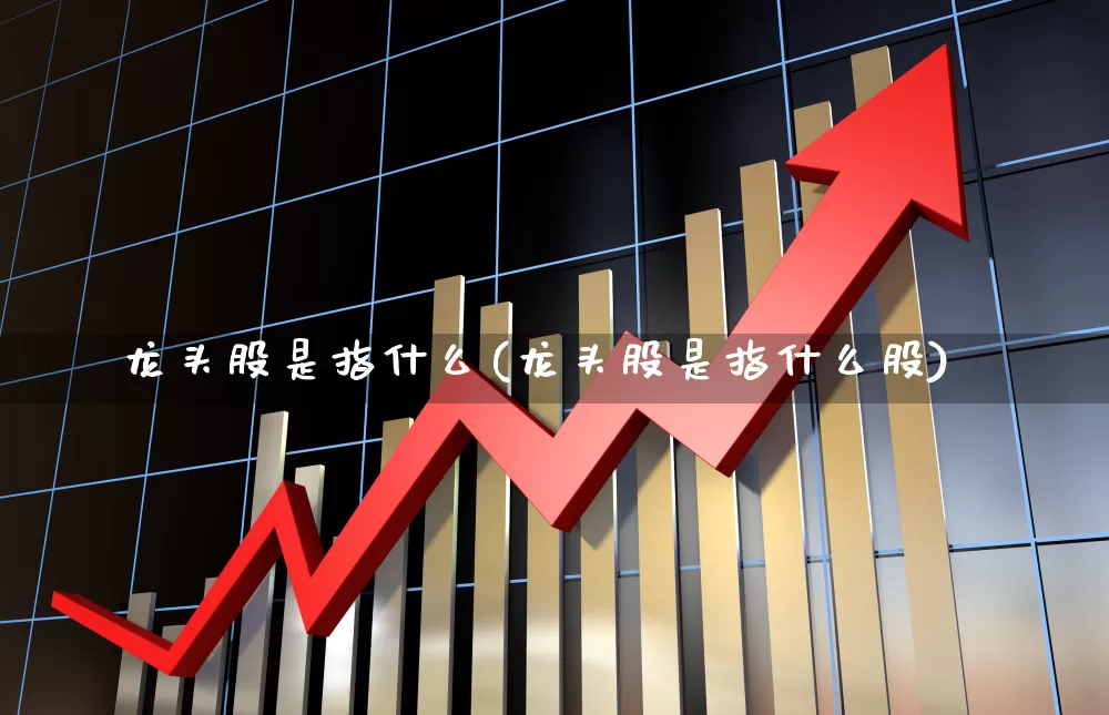 龙头股是指什么(龙头股是指什么股)_https://www.ccit-cctv.com_创业板_第1张