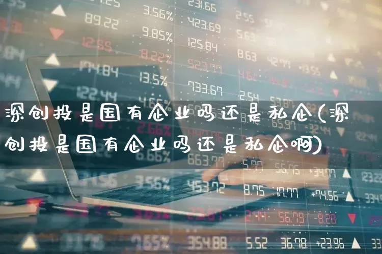 深创投是国有企业吗还是私企(深创投是国有企业吗还是私企啊)_https://www.ccit-cctv.com_北交所_第1张