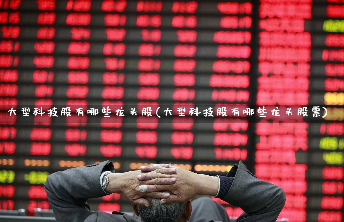 大型科技股有哪些龙头股(大型科技股有哪些龙头股票)_https://www.ccit-cctv.com_北交所_第1张