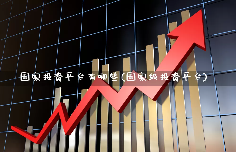 国家投资平台有哪些(国家级投资平台)_https://www.ccit-cctv.com_上交所_第1张