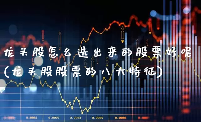 龙头股怎么选出来的股票好呢(龙头股股票的八大特征)_https://www.ccit-cctv.com_深交所_第1张
