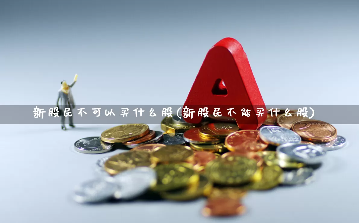 新股民不可以买什么股(新股民不能买什么股)_https://www.ccit-cctv.com_科创板_第1张