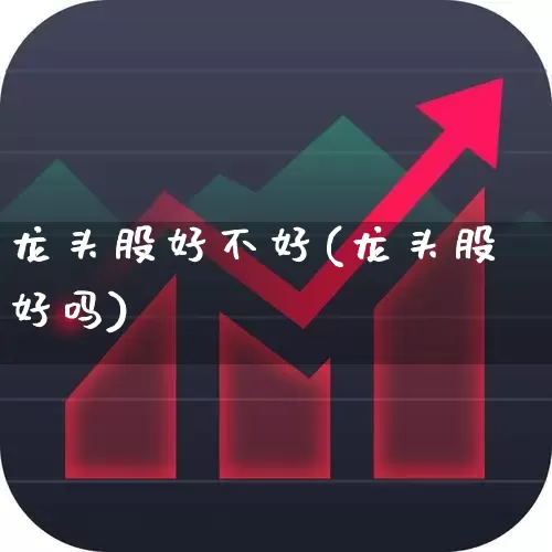 龙头股好不好(龙头股好吗)_https://www.ccit-cctv.com_科创板_第1张