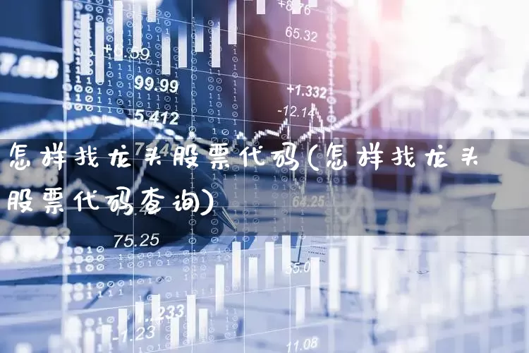 怎样找龙头股票代码(怎样找龙头股票代码查询)_https://www.ccit-cctv.com_上交所_第1张