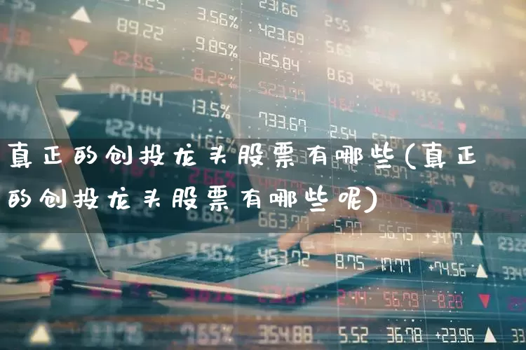 真正的创投龙头股票有哪些(真正的创投龙头股票有哪些呢)_https://www.ccit-cctv.com_深交所_第1张