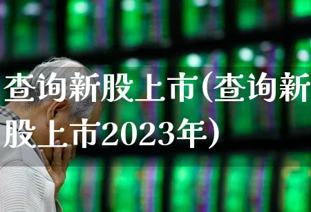 查询新股上市(查询新股上市2023年)_https://www.ccit-cctv.com_北交所_第1张