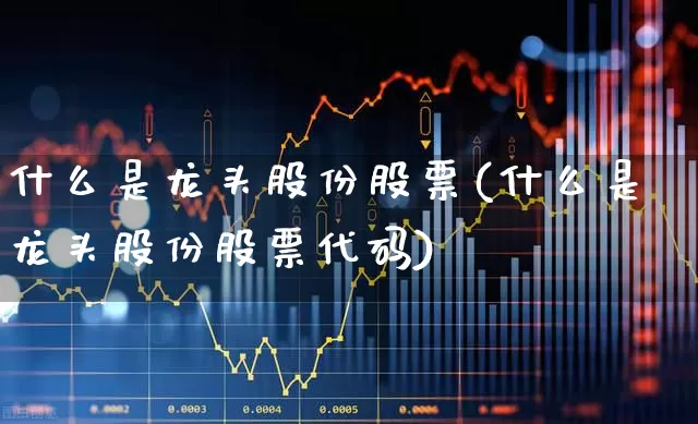 什么是龙头股份股票(什么是龙头股份股票代码)_https://www.ccit-cctv.com_创业板_第1张