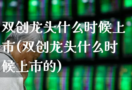 双创龙头什么时候上市(双创龙头什么时候上市的)_https://www.ccit-cctv.com_科创板_第1张