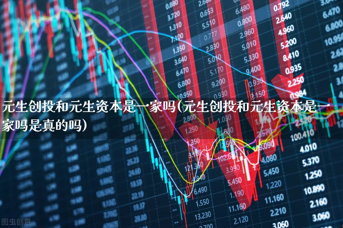 元生创投和元生资本是一家吗(元生创投和元生资本是一家吗是真的吗)_https://www.ccit-cctv.com_北交所_第1张