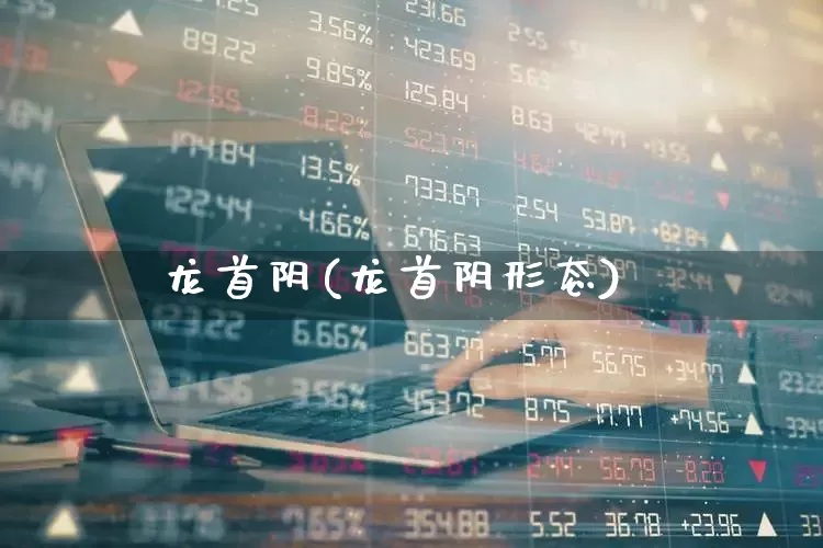 龙首阴(龙首阴形态)_https://www.ccit-cctv.com_上交所_第1张