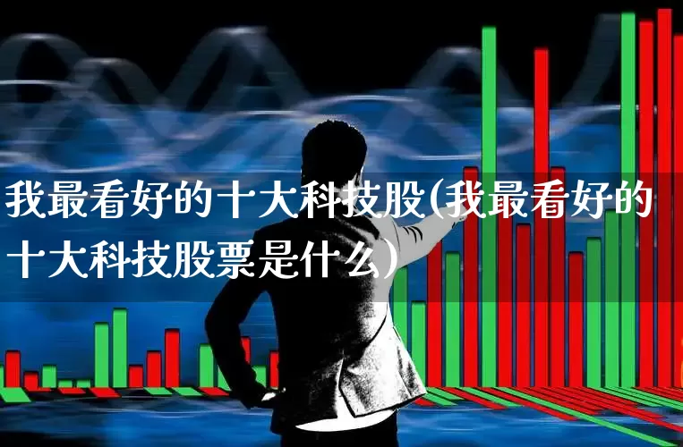 我最看好的十大科技股(我最看好的十大科技股票是什么)_https://www.ccit-cctv.com_上交所_第1张
