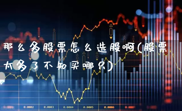 那么多股票怎么选股啊(股票太多了不知买哪只)_https://www.ccit-cctv.com_创业板_第1张