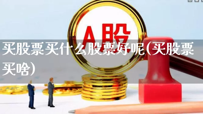 买股票买什么股票好呢(买股票买啥)_https://www.ccit-cctv.com_北交所_第1张