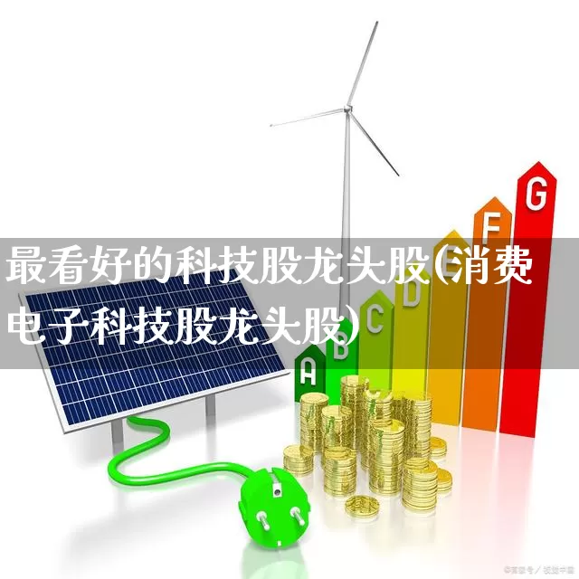 最看好的科技股龙头股(消费电子科技股龙头股)_https://www.ccit-cctv.com_科创板_第1张