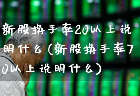 新股换手率20以上说明什么(新股换手率70以上说明什么)_https://www.ccit-cctv.com_上交所_第1张