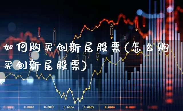 如何购买创新层股票(怎么购买创新层股票)_https://www.ccit-cctv.com_创业板_第1张