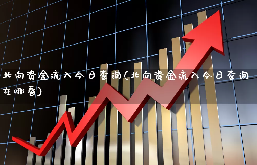 北向资金流入今日查询(北向资金流入今日查询在哪看)_https://www.ccit-cctv.com_深交所_第1张