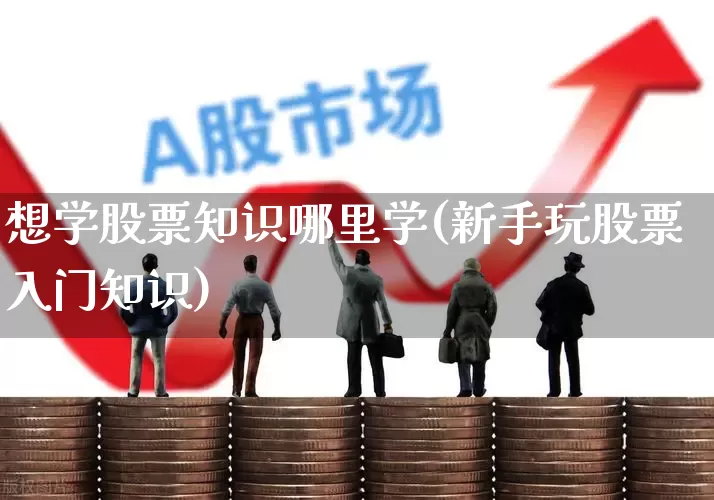 想学股票知识哪里学(新手玩股票入门知识)_https://www.ccit-cctv.com_深交所_第1张