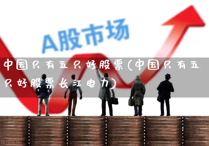 中国只有五只好股票(中国只有五只好股票长江电力)_https://www.ccit-cctv.com_深交所_第1张
